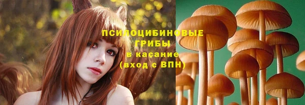 PSILOCYBIN Абаза