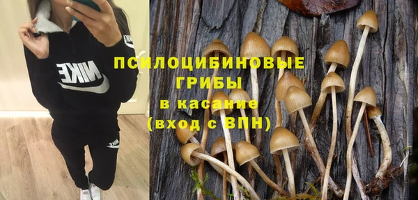 PSILOCYBIN Абаза