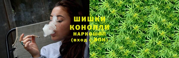 PSILOCYBIN Абаза