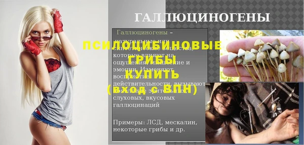 PSILOCYBIN Абаза