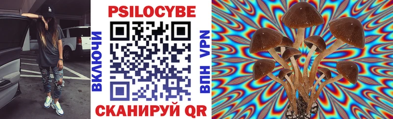 Псилоцибиновые грибы мицелий  купить наркотик  Власиха 